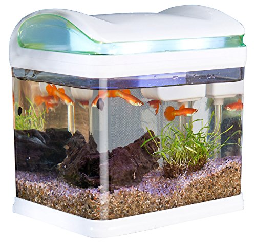 Sweetypet Aquarium: Transport-Fischbecken mit Filter, LED-Beleuchtung und USB, 3,3 Liter (Mini Aquarium, USB Aquarium, Urzeitkrebse) von Sweetypet