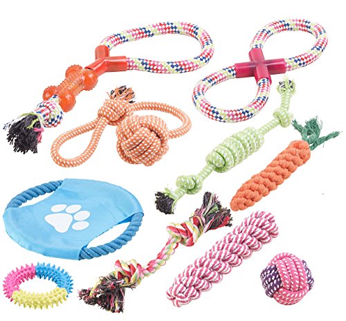 Sweetypet Hundezubehör: 10er-Set Bunte Hundespielzeuge aus Baumwolle zum Kauen und Toben (Hundebedarf, Welpenspielzeug, Gesundheit) von Sweetypet