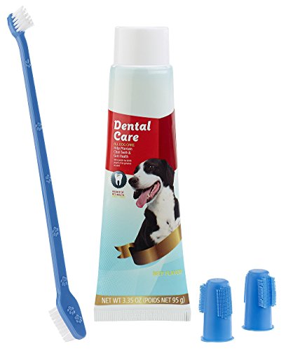 Sweetypet Hundezahnbürste: 4in1-Zahnpflege-Set für Hunde mit Zahnpasta, Zahnbürste, Fingerbürsten (Zahnreinigung Hund, Hundezahnpflege Set, Zahnbürsten) von Sweetypet