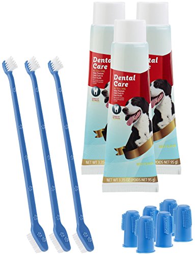Sweetypet Zahnbürste Hund: 4in1-Zahnpflege-Set f. Hunde: Zahnpasta, Zahn- & Fingerbürsten,3er-Set (Hundezahnpflege-Set, Sets mit Zahnbürsten für Hunde, Gesundheit) von Sweetypet