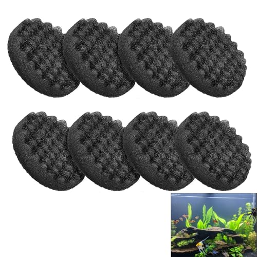 Swess FX4 Filtermedien kompatibel mit Fluval FX4/FX5, 8 Stück Kanister Schaumstoff & FX6 Kohlefilterpads Ersatz, Aquarium Filterzubehör 6,69 x 6,69 x 1,57 Zoll, Schwarz Swess FX4 Filtermedien kompatibel mit Fluval FX4/FX5, 8 Stück Kanister Schaumstoff & FX6 Kohlefilterpads Ersatz, Aquarium Filterzubehör 6,69 x 6,69 x 1,57 Zoll, Schwarz von Swess