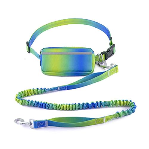 Freihändige Hundeleine, doppelt gepolsterte Griffe mit Reißverschlusstasche, stoßdämpfende Bungee-Leine, für mittelgroße und große Hunde, Training, Spazierengehen, Laufen(Gradient Color 1) von Swiftelle