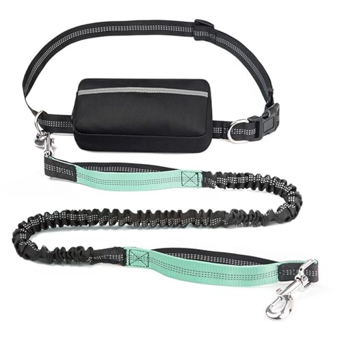 Freihändige Hundeleine, doppelt gepolsterte Griffe mit Reißverschlusstasche, stoßdämpfende Bungee-Leine, für mittelgroße und große Hunde, Training, Spazierengehen, Laufen(Turquoise) von Swiftelle