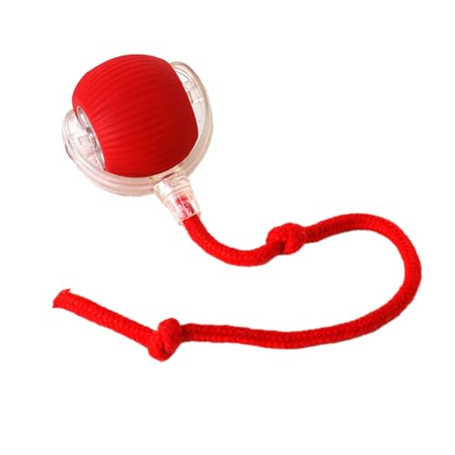 Swiixxer Interaktives Katzenspielzeug, Rollender Ball, Bewegungsaktivierung, Schnelles Rollen auf, Interaktives, Selbstbewegliches Ballspielzeug, Rot Swiixxer Interaktives Katzenspielzeug, Rollender Ball, Bewegungsaktivierung, Schnelles Rollen auf, Interaktives, Selbstbewegliches Ballspielzeug, Rot von Swiixxer