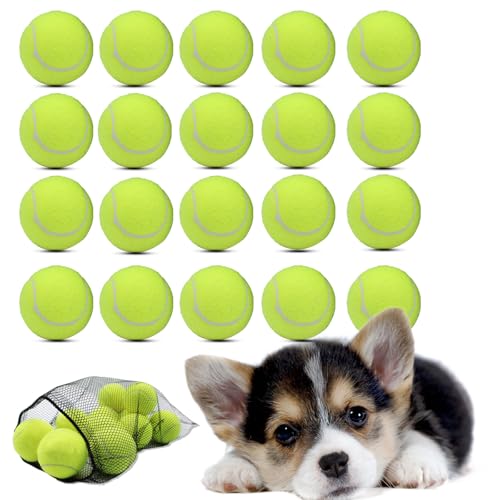 Swingers Kleine Tennisbälle, 20 Stück, 5,1 cm, Trainingsbälle für Haustiere und Hunde, mit Netz-Tragetasche, leicht zu transportieren, Gelb von Swingers