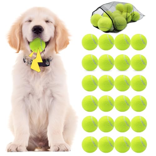 Swingers Quietschende Tennisbälle für Hunde, 6,3 cm, Trainingsball für Haustiere, Hunde, mit Netz-Tragetasche, leicht zu transportieren, Gelb, 24 Stück von Swingers