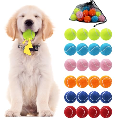 Swingers Quietschende Tennisbälle für Hunde, 6,3 cm, Trainingsball für Haustiere, Hunde, mit Netz-Tragetasche, leicht zu transportieren, mehrfarbig, 24 Stück von Swingers
