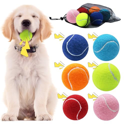 Swingers Quietschende Tennisbälle für Hunde, 6,3 cm, Trainingsball für Haustiere, Hunde, mit Netz-Tragetasche, leicht zu transportieren (mehrfarbig, 6 Stück) von Swingers
