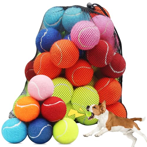 Swingers Quietschende Tennisbälle für Hunde, 6,3 cm, Trainingsball für Haustiere, Hunde, mit Netz-Tragetasche, leicht zu transportieren (mehrfarbig, 60 Stück) von Swingers