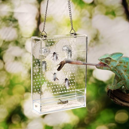 Bartdrachen Futterspender Reptilien Jagd Schüssel mit Kalziumpulver Schlitz Acryl Chamäleon Futterbox Wandmontage Insektenfutterspender für Eidechse, Leguan, Gecko, Frosch (Klein) von Swirge