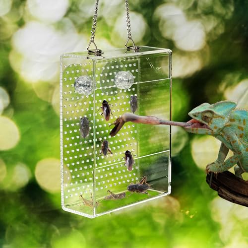 Swirge Chamäleon Feeder Reptilien Feeder Box mit Saugnäpfen, Acryl Futternapf für Bartagamen, Wandmontage Insektenfutterspender für Eidechse, Leguan, Gecko, Frosch Swirge Chamäleon Feeder Reptilien Feeder Box mit Saugnäpfen, Acryl Futternapf für Bartagamen, Wandmontage Insektenfutterspender für Eidechse, Leguan, Gecko, Frosch von Swirge