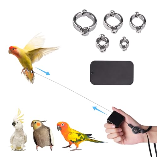 Swirge Einziehbare Vogelleine, mit 5 verschiedenen Größen Fußring und Futterbox, Anti-Bissgeschirr für Papageien, Vogelflug-Trainingsseil für Wellensittiche, Nymphensittiche, Psittacula Longicauda von Swirge