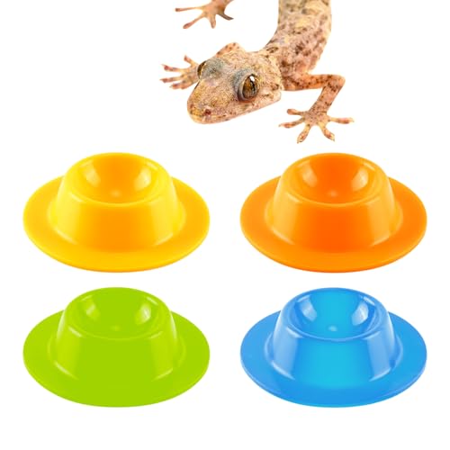 Swirge Gecko-Eidechsen-Futternäpfe, kleine Reptilien-Futternapf, Silikon-Fressnapf, Lebensraum-Zubehör für Einsiedlerkrebse, Bartdrache, Schlange, Frosch, 4 Stück Swirge Gecko-Eidechsen-Futternäpfe, kleine Reptilien-Futternapf, Silikon-Fressnapf, Lebensraum-Zubehör für Einsiedlerkrebse, Bartdrache, Schlange, Frosch, 4 Stück von Swirge