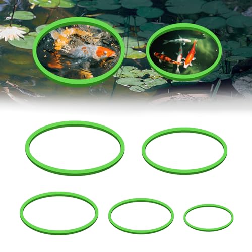 Swirge Runder Fisch-Futterring, 5 Größen, Aquarium, schwimmende Pflanze, Korral, Fischfutterringe für Bettas, schwimmende Pflanzenringe, Aquarium-Zubehör (Grün) von Swirge