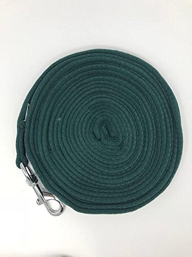 Swiss Horse Longe - Nylon 8 m - grün von Swiss Horse