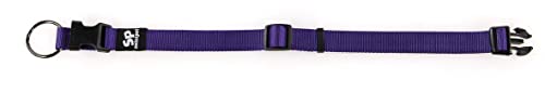 TrendLine ONE Halsband 10mm violett von SwissPet