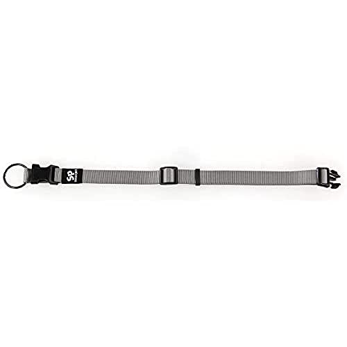 TrendLine ONE Halsband 15/260-400mm grau von SwissPet