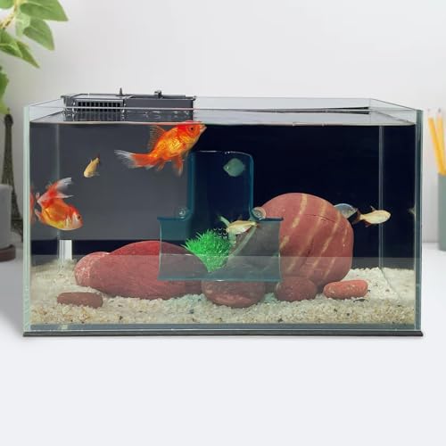 Switior Betta Aquarium-Tunnel, Betta-Zubehör zum Ausruhen, Spielen, Verstecken, Betta-Dekoration, sechs Farben (T-Form) (transparentes Blau) von Switior