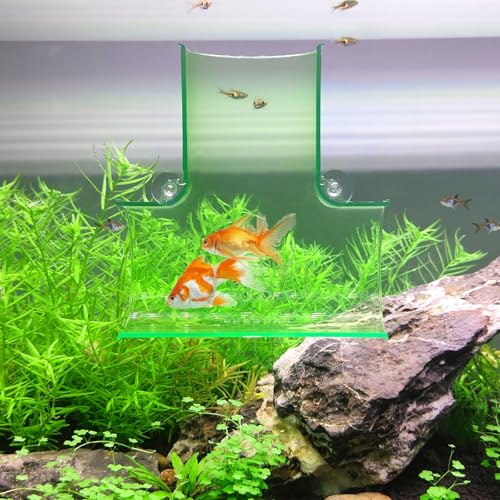 Switior Betta Aquarium-Tunnel, Betta-Zubehör zum Ausruhen, Spielen, Verstecken, Betta-Dekoration, sechs Farben (T-Form) (transparentes Grün) von Switior
