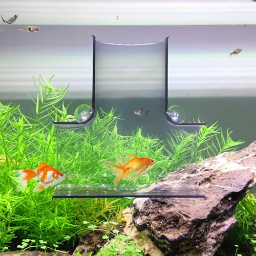 Switior Betta Aquarium-Tunnel, Betta-Zubehör zum Ausruhen, Spielen, Verstecken, Betta-Dekoration, sechs Farben (T-Form) (transparentes Schwarz) von Switior
