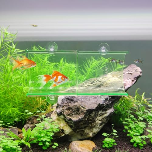 Switior Betta Aquarium-Tunnel, Betta-Zubehör zum Ausruhen, Spielen, Verstecken, Kampffisch-Dekoration, sechs Farben (I-Form) (I-Transparent Grün) von Switior