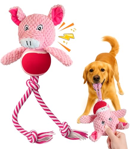 Swooflia Langlebiges Quietschendes Hundespielzeug - Interaktives Plüschschwein mit Seilbeinen, Zahnreinigung Zerrspielzeug für kleine, mittelgroße und große Hunde, Welpenkauspielzeug für Training und von Swooflia