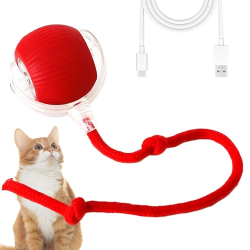 Swsdee Interaktives Katzenspielzeug,Verschleissfestes Interaktives Katzenspielzeug,3 Elektrisch Modi,Selbstbeschäftigung mit Kordel und USB Wiederaufladbar für Hunde/Katzen von Swsdee