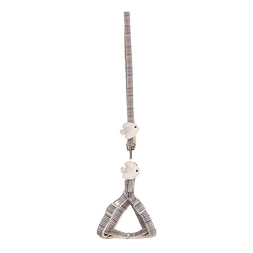 Farbige Hundeleine - Kette für kleine mittelgroße und große Hunde - Goldhaar Farbige Hundeleine - Kette für kleine mittelgroße und große Hunde - Goldhaar von Sxett