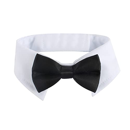 Hundehalsband, Fliege für kleine Hunde, verstellbares Halsband mit Streifen, formelle Krawatte für Hunde, Smoking, Katzen, Outfits Hundehalsband, Fliege für kleine Hunde, verstellbares Halsband mit Streifen, formelle Krawatte für Hunde, Smoking, Katzen, Outfits von Sxett