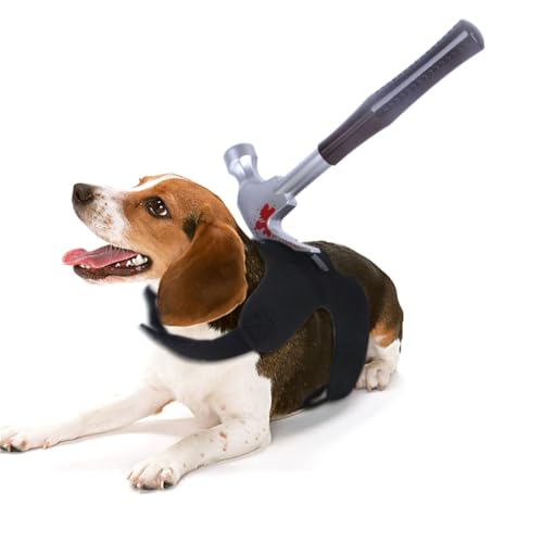 Hundekostüm mit Blutflecken-Motiv, Foto-Requisiten, Haustier, weich, Kostüm, Halloween, Mantel, Thema, Cosplay Hundekostüm mit Blutflecken-Motiv, Foto-Requisiten, Haustier, weich, Kostüm, Halloween, Mantel, Thema, Cosplay von Sxett