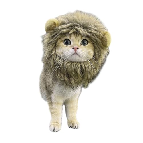 ManeWig Katzenkostüm für kleine Hunde, Halloween-Kostüm, Kleidung, Fotografie-Outfit, Haustier, Festival, Party, Stirnband ManeWig Katzenkostüm für kleine Hunde, Halloween-Kostüm, Kleidung, Fotografie-Outfit, Haustier, Festival, Party, Stirnband von Sxett