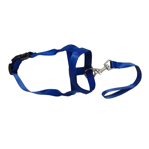 Maulkorb aus weichem Nylon, belüftet, elastisch, für kleine, große Hunde, verhindert Beißen und Bellen Maulkorb aus weichem Nylon, belüftet, elastisch, für kleine, große Hunde, verhindert Beißen und Bellen von Sxett