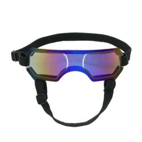 Sonnenbrille, Sonnenschutz, coole Foto-Anziehbrille für Haustiere und Puppen, modisches Statement Sonnenbrille, Sonnenschutz, coole Foto-Anziehbrille für Haustiere und Puppen, modisches Statement von Sxett