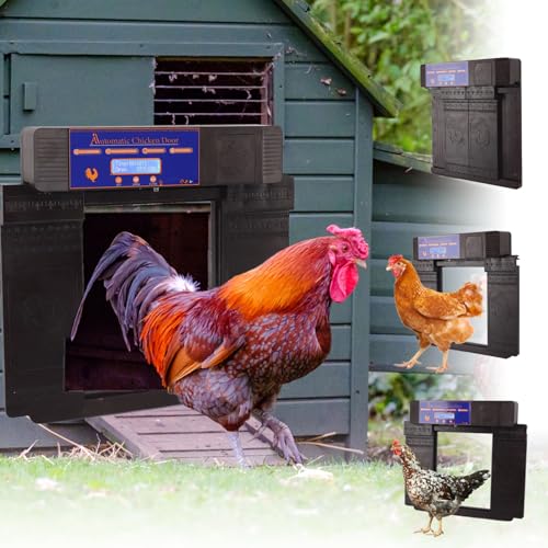 Automatische Hühnerklappe elektrisch solar- und batteriebetrieben - Doppelt geöffnete Hühnerstalltür mit Fernbedienung/Zeitschaltuhr/LED-Anzeige/Einklemmschutz für Hühner von Sxhlseller