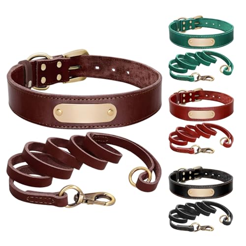 Haustierhalsband, personalisierbar, Leder, Namensschild für mittelgroße und große Hunde (rotes Halsband, XXL) von Sxwdeu