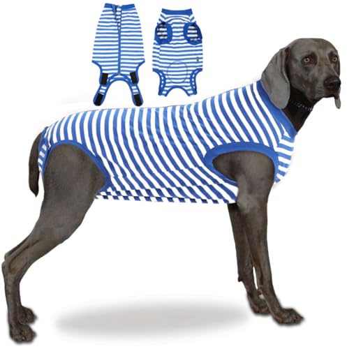 Sychien Hunde-Genesungsanzug, Chirurgie-Shirt für große weibliche und männliche Männer, blau, 3XL von SyChien