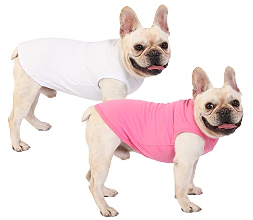 Sychien Hunde-Shirts, weich, unbedruckt, Baumwolle, für Jungen, Mädchen, Hunde, einfarbig, Größe XXL, Labrador-Kleidung, Rosa, Weiß Sychien Hunde-Shirts, weich, unbedruckt, Baumwolle, für Jungen, Mädchen, Hunde, einfarbig, Größe XXL, Labrador-Kleidung, Rosa, Weiß von SyChien
