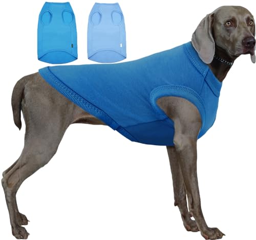Sychien Hunde-T-Shirt, blanko, blaues T-Shirt, für Jungen, Mädchen, Hunde, großes T-Shirt, einfarbiges Dackel-T-Shirt, XL, blau, königlich Sychien Hunde-T-Shirt, blanko, blaues T-Shirt, für Jungen, Mädchen, Hunde, großes T-Shirt, einfarbiges Dackel-T-Shirt, XL, blau, königlich von SyChien