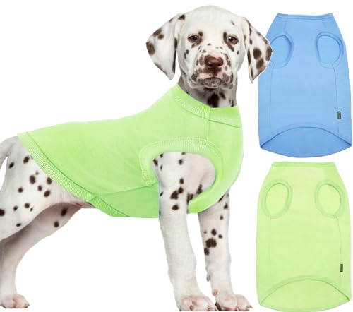 Sychien Leichtes Hunde-Shirt, cooles, atmungsaktives, dehnbares Hunde-T-Shirt, weiches Haustier-Shirt, ärmellos, blanko, Kleidung für Welpen, Kätzchen, 2er-Pack, S, Blau und Grün Sychien Leichtes Hunde-Shirt, cooles, atmungsaktives, dehnbares Hunde-T-Shirt, weiches Haustier-Shirt, ärmellos, blanko, Kleidung für Welpen, Kätzchen, 2er-Pack, S, Blau und Grün von SyChien