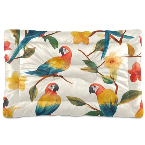 Haustier-Schlafmatte mit lustigem Ara-Motiv, neutral, waschbar, weich, bequem, rutschfeste Unterseite, für große, mittelgroße und kleine Hunde, 91,4 x 61 cm Haustier-Schlafmatte mit lustigem Ara-Motiv, neutral, waschbar, weich, bequem, rutschfeste Unterseite, für große, mittelgroße und kleine Hunde, 91,4 x 61 cm von SyXIOP