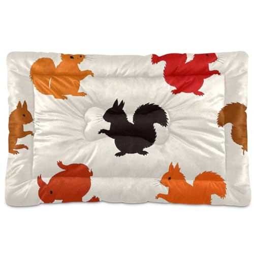 Hundebett-Matte mit Cartoon-Eichhörnchen-Silhouette, waschbar, rutschfest, weich, bequem, für mittelgroße und große Hunde, 91,4 x 61 cm, Beige von SyXIOP