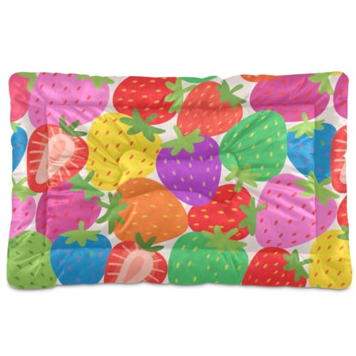 Hundebettunterlage mit bunten Cartoon-Erdbeer-Früchten, waschbar, weich, bequem, rutschfeste Unterseite, für große, mittelgroße und kleine Hunde, 91,4 x 61 cm Hundebettunterlage mit bunten Cartoon-Erdbeer-Früchten, waschbar, weich, bequem, rutschfeste Unterseite, für große, mittelgroße und kleine Hunde, 91,4 x 61 cm von SyXIOP
