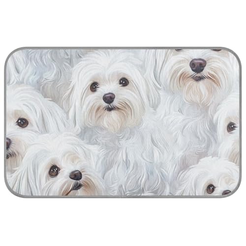 Lustiges Malteserhunde-Katzenbett für den Sommer, kühlend, selbstkühlend, für draußen, für drinnen und draußen, weiches Klebeband, zum Auffrischen von Para Mascotas, Größe M, Weiß Lustiges Malteserhunde-Katzenbett für den Sommer, kühlend, selbstkühlend, für draußen, für drinnen und draußen, weiches Klebeband, zum Auffrischen von Para Mascotas, Größe M, Weiß von SyXIOP
