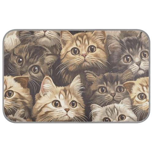 Niedliche schottische Faltkatzen, braun, Sommer-Kühlkissen für Hunde, selbstkühlende Haustiermatte für Katzen, Outdoor, Haustier, Sommer, Cama Fria Para, Perro, M Niedliche schottische Faltkatzen, braun, Sommer-Kühlkissen für Hunde, selbstkühlende Haustiermatte für Katzen, Outdoor, Haustier, Sommer, Cama Fria Para, Perro, M von SyXIOP