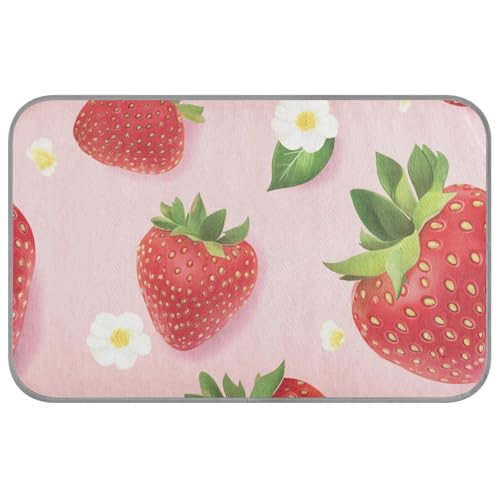 Sweet Strawberries Fruit Red Summer Dog Cooling Bed Self Cooling Bed for Cats Outdoor for Cat's Outdoor Summer Manta Fria Para Perros M von SyXIOP