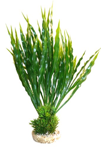 Sydeco Aquariumpflanze Aqua Atoll Plant, grün, Höhe 28 cm von Sydeco