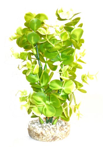 Sydeco Aquariumpflanze Aqua Eucalyptus Plant, grün, Höhe 22 cm von Sydeco