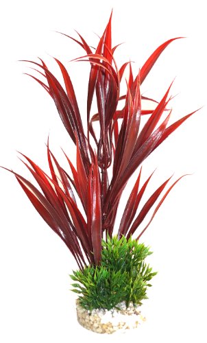 Sydeco Aquariumpflanze Aqua Sword Leaves Plant, rot, Höhe 25 cm von Sydeco