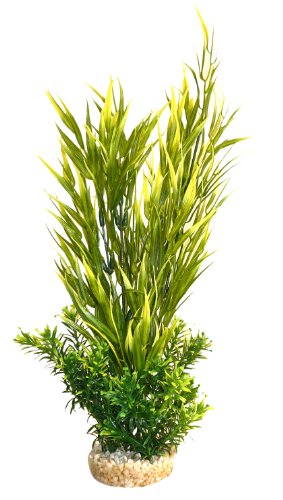 Sydeco Aquariumpflanze Aqua Tropic Plant, grün, Höhe 34 cm Sydeco Aquariumpflanze Aqua Tropic Plant, grün, Höhe 34 cm von Sydeco