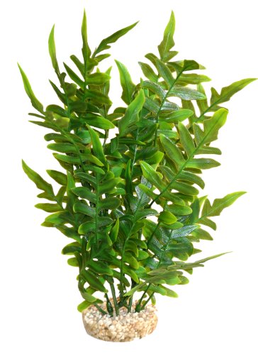 Sydeco Aquariumpflanze Aqua Wild Plant, grün, Höhe 27 cm Sydeco Aquariumpflanze Aqua Wild Plant, grün, Höhe 27 cm von Sydeco